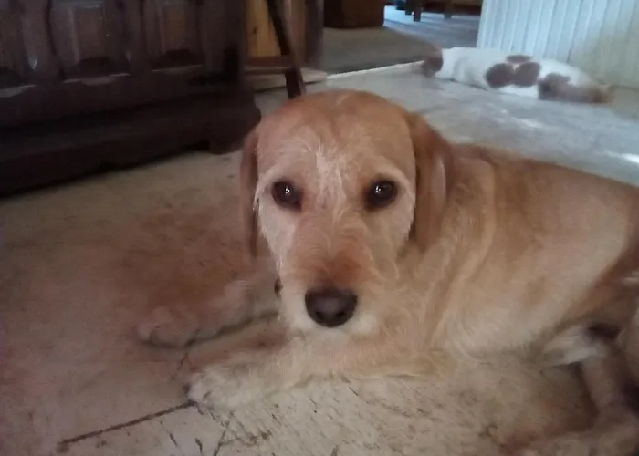 Apartment Loft Katelios