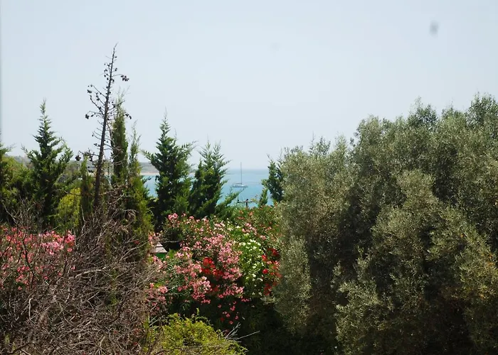 Apartment Loft Katelios