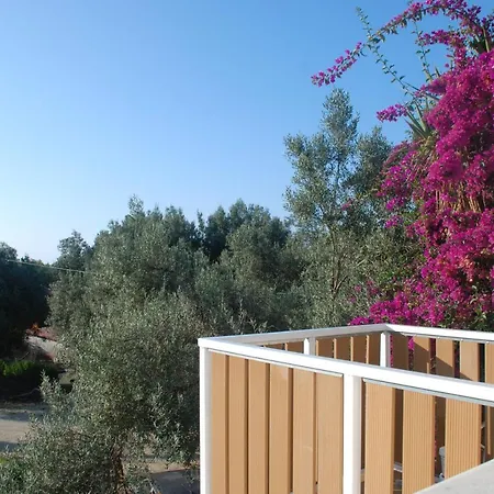 Loft * קאטליוס