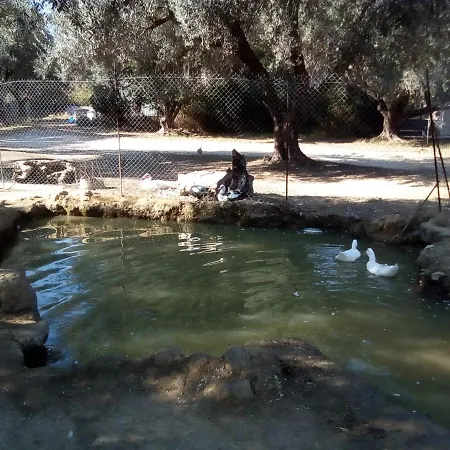 דירה Loft קאטליוס