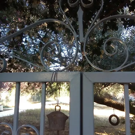 Loft * קאטליוס